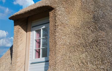 South Huish thatch roof disadvantages